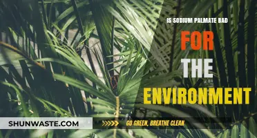 Sodium Palmate's Environmental Impact: Sustainable or Harmful for Our Planet?