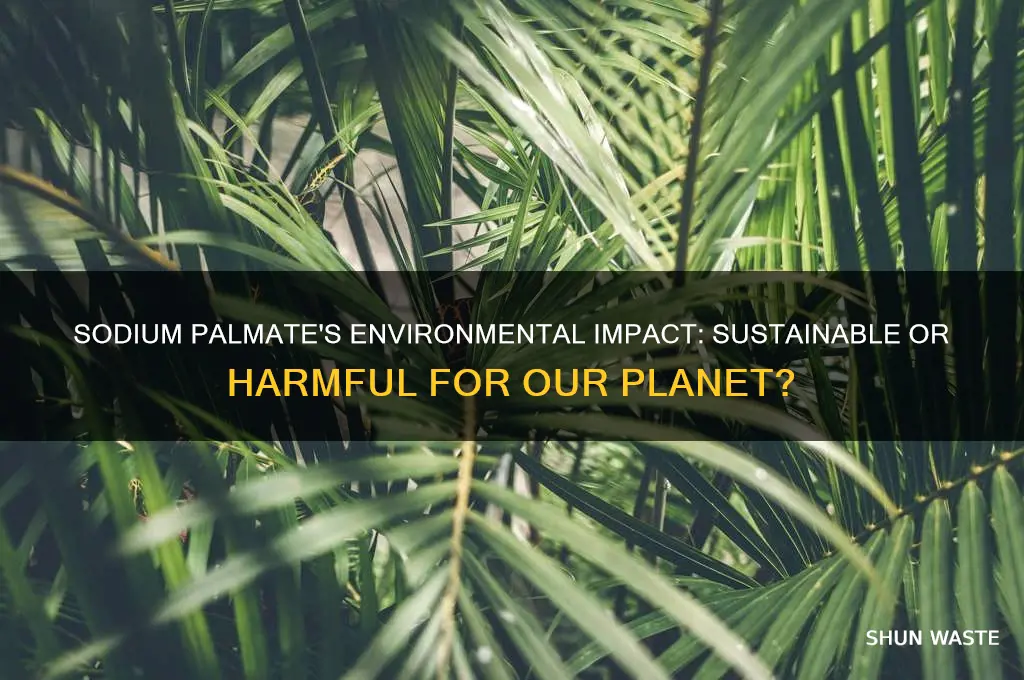 is sodium palmate bad for the environment