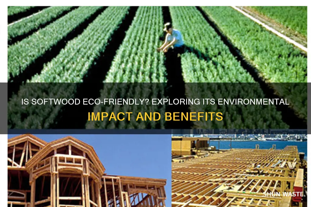is softwood good for the environment
