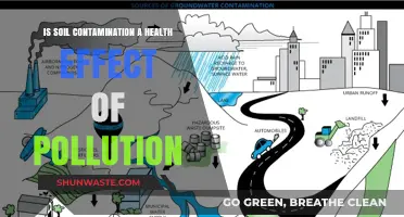 Soil Contamination: Pollution's Impact on Health and Environment