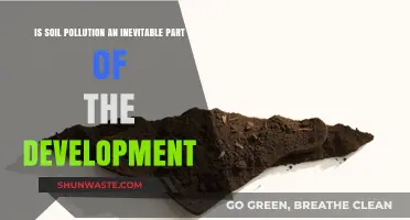 Soil Pollution: The Dark Side of Development?