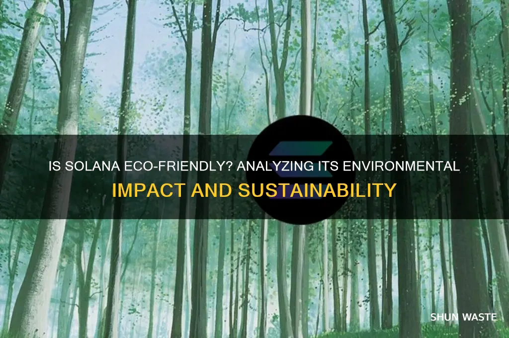 is solana bad for the environment