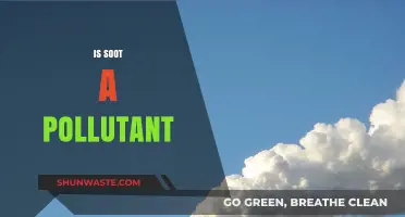 Soot: A Hazardous Air Pollutant?