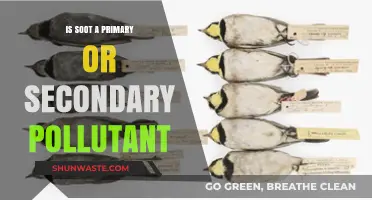 Soot Pollution: Primary or Secondary?
