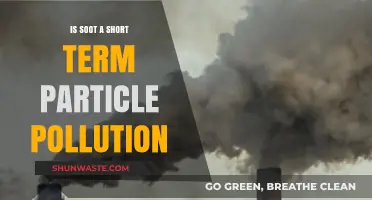 Soot's Impact: Understanding Short-Term Particle Pollution
