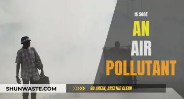 Soot and Air Pollution: Understanding the Connection