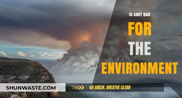 Soot's Environmental Impact: Uncovering the Hidden Dangers of Black Carbon