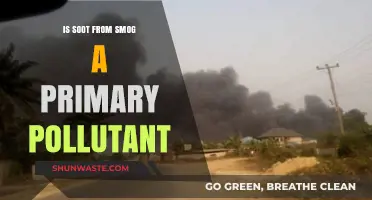 Soot and Smog: Primary Pollutants?