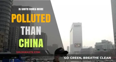 South Korea vs China: Who's More Polluted?