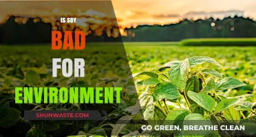 Soy's Environmental Impact: Sustainable Crop or Ecological Threat?