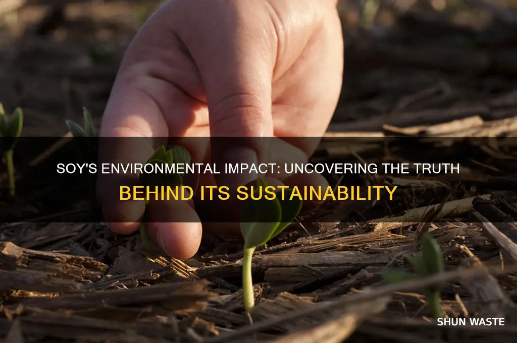 is soy bad for the environment