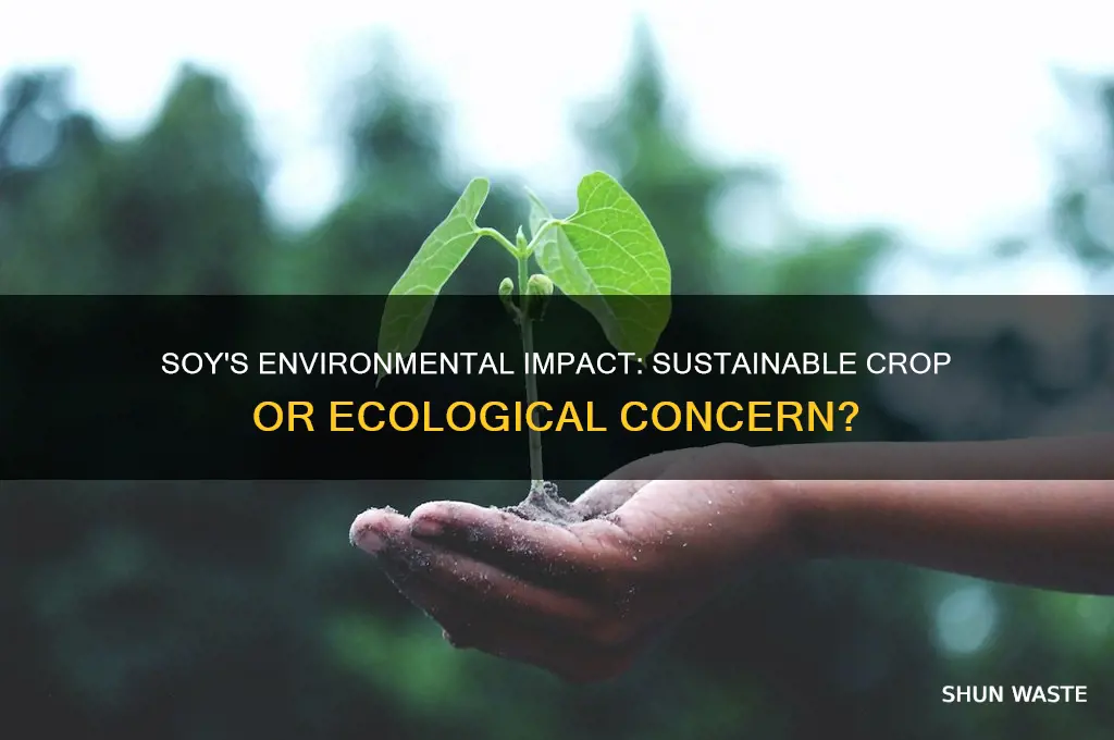 is soy good for the environment
