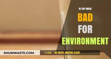 Soy Milk's Environmental Impact: Sustainable Choice or Eco-Friendly Myth?