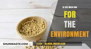 Soy Milk's Environmental Impact: Sustainable Choice or Eco-Friendly Myth?