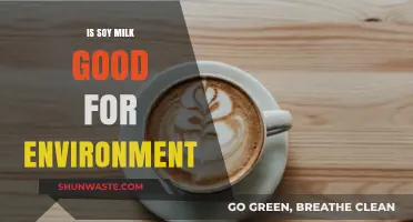 Soy Milk's Eco-Impact: Sustainable Choice or Environmental Concern?