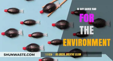 Soy Sauce's Environmental Impact: Sustainable or Harmful Choice?