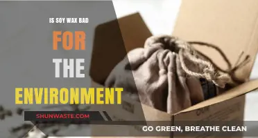 Is Soy Wax Eco-Friendly? Uncovering Its Environmental Impact and Benefits