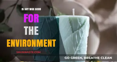 Is Soy Wax Eco-Friendly? Uncovering Its Environmental Impact and Benefits