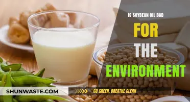 Soybean Oil's Environmental Impact: Sustainable or Harmful Choice?
