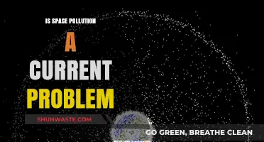 Space Junk: A Growing Concern?