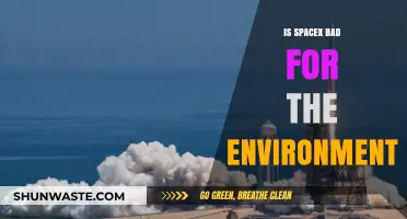 SpaceX's Environmental Impact: Sustainable Innovation or Ecological Concern?