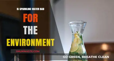 Sparkling Water's Environmental Impact: Sustainable Choice or Eco-Hazard?
