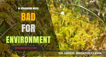 Is Sphagnum Moss Harmful or Beneficial to the Environment?