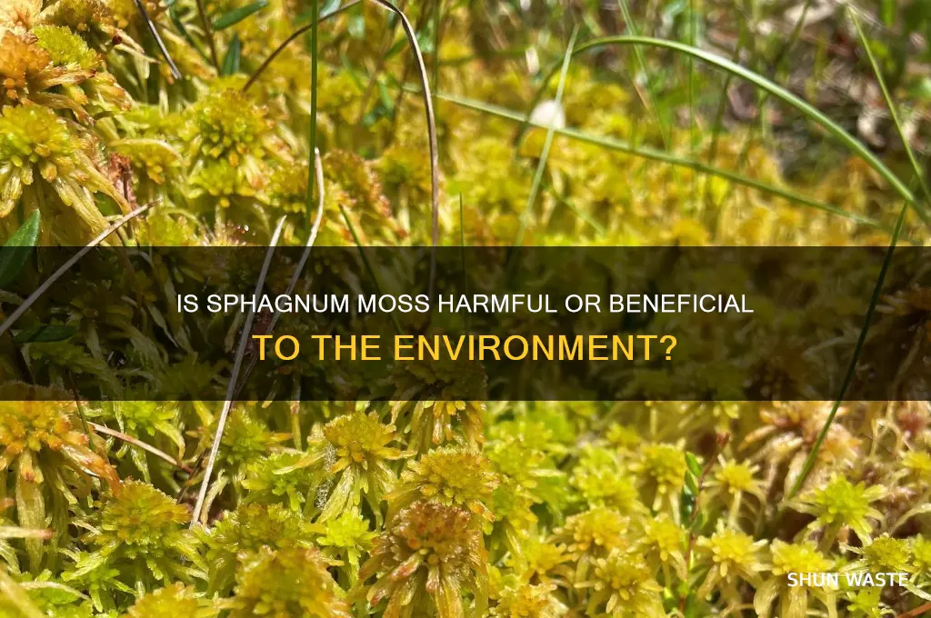 is sphagnum moss bad for environment