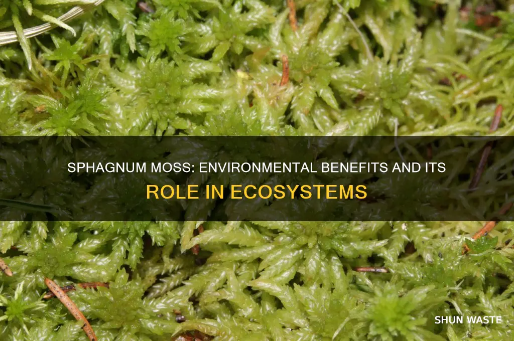is sphagnum moss good for the environment