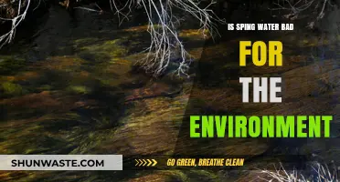 Is Spring Water Harmful? Environmental Impact Explained