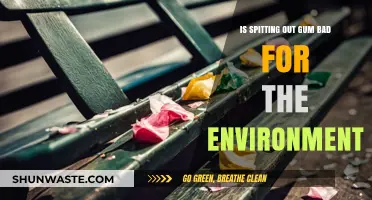 Is Spitting Out Gum Harming Our Environment? Surprising Facts Revealed