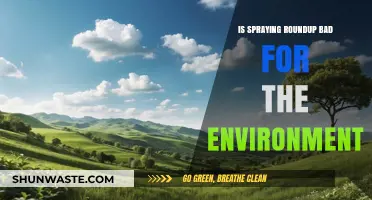 Is Roundup Spraying Harming Our Environment? A Critical Analysis