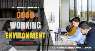 St. Edward's University: A Positive and Supportive Work Environment?