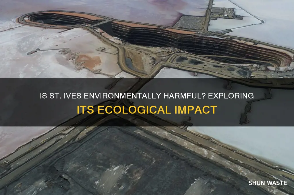 is st ives bad for the environment