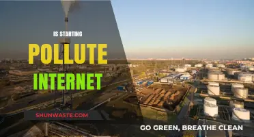 The Internet's Pollution Problem: Who's Responsible?