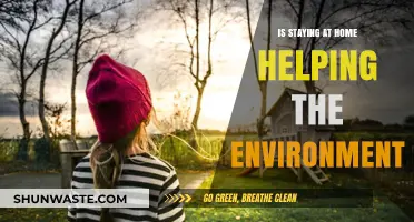 Staying Home: A Green Choice or Environmental Myth?