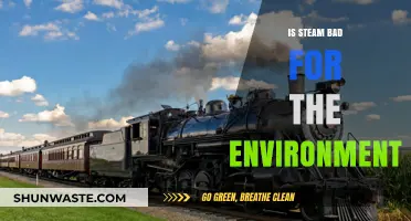 Steam's Environmental Impact: Uncovering the Hidden Costs of Convenience