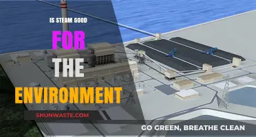 Steam Power: Eco-Friendly Energy or Environmental Concern?