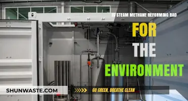 Is Steam Methane Reforming Harming Our Environment? A Critical Analysis