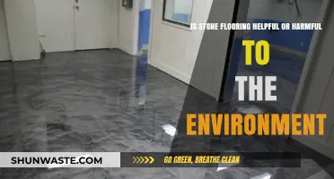 Stone Flooring: Eco-Friendly Choice or Environmental Concern?