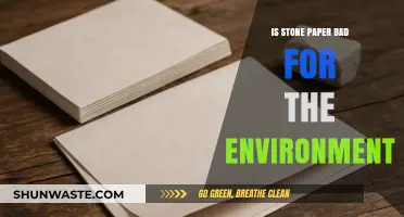 Is Stone Paper Eco-Friendly? Uncovering Its Environmental Impact and Sustainability
