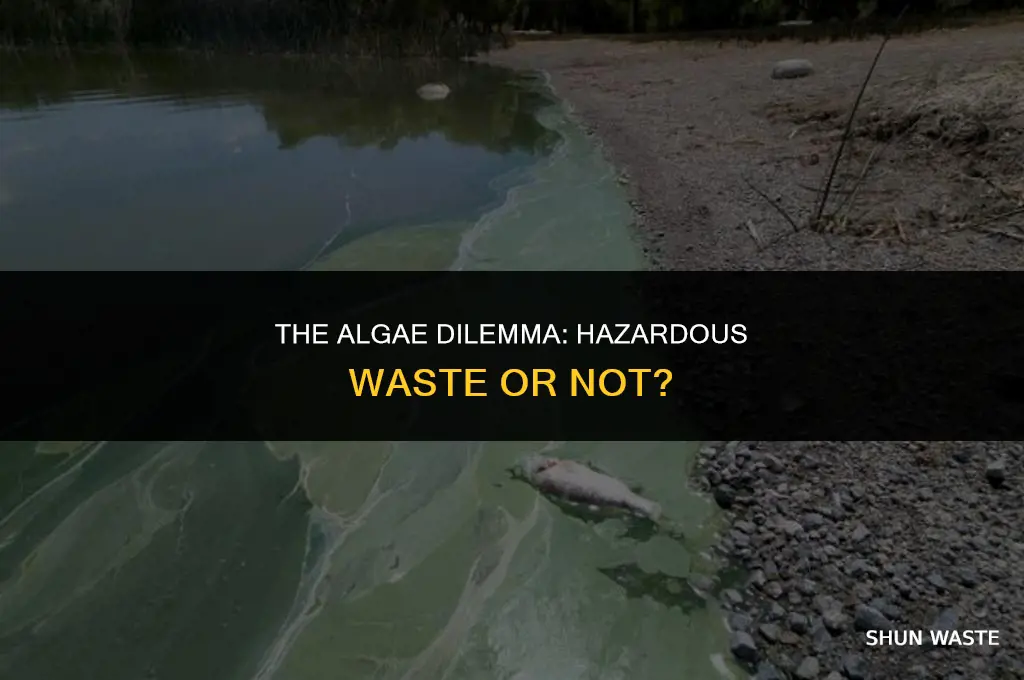 is storing algae considered hazardous waste