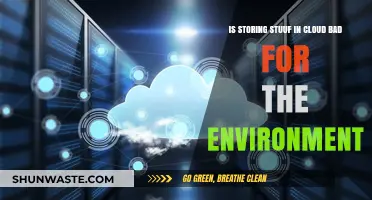 Cloud Storage's Environmental Impact: Sustainable or Harmful for Our Planet?