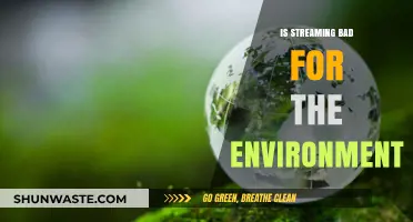 Streaming's Environmental Impact: Uncovering the Hidden Costs of Digital Entertainment