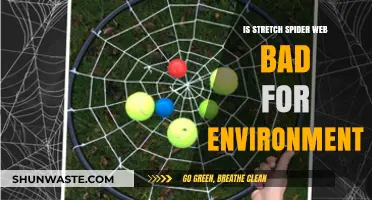 Stretch Spider Web: Environmental Impact and Sustainable Alternatives Explored