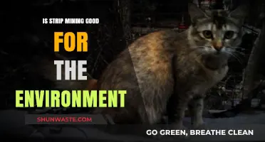 Strip Mining's Environmental Impact: Sustainable Practice or Ecological Disaster?