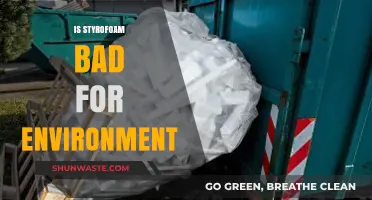 Is Styrofoam Harmful? Environmental Impact and Sustainable Alternatives Explained