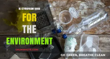 Is Styrofoam Eco-Friendly? Uncovering Its Environmental Impact and Sustainability