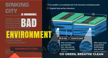 Is Subsidence Harming Our Environment? Exploring the Ecological Impact