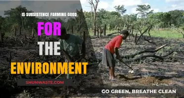 Subsistence Farming: Eco-Friendly Solution or Environmental Challenge?